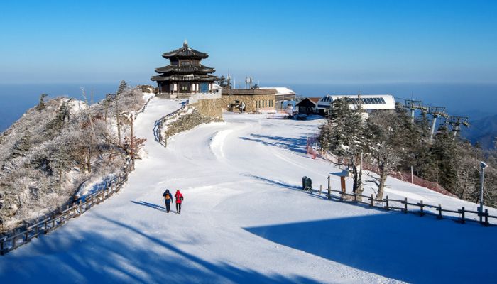 best asian countries to visit in december
